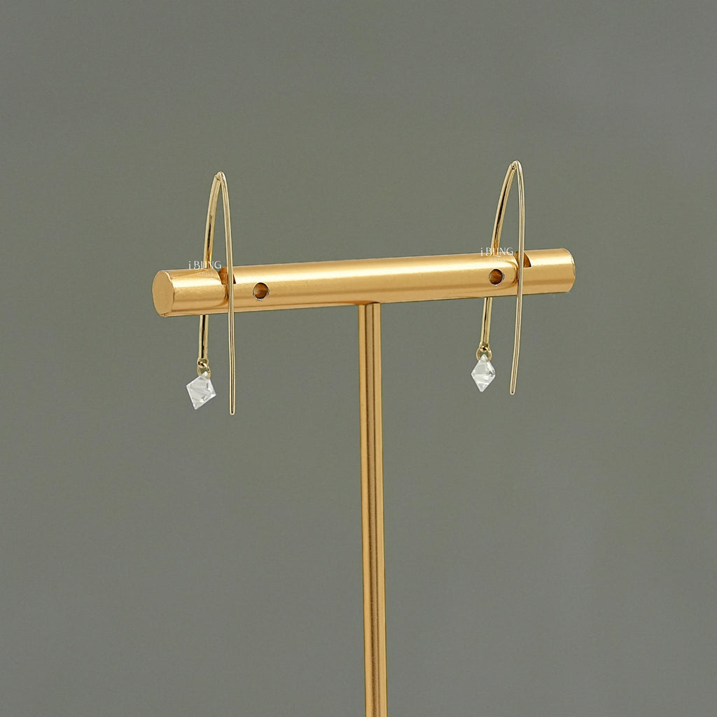 Princess Cut Lab Diamond Hook Back Earrings