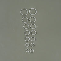 Round Moissanite In-Out Hoop Earrings