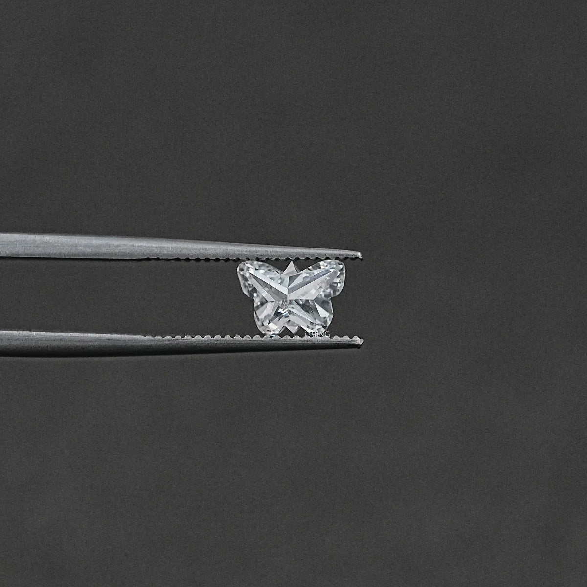 Butter Fly Shape Lab Grown Loose Diamond Loose Diamond