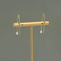 Princess Cut Lab Diamond Hook Back Earrings